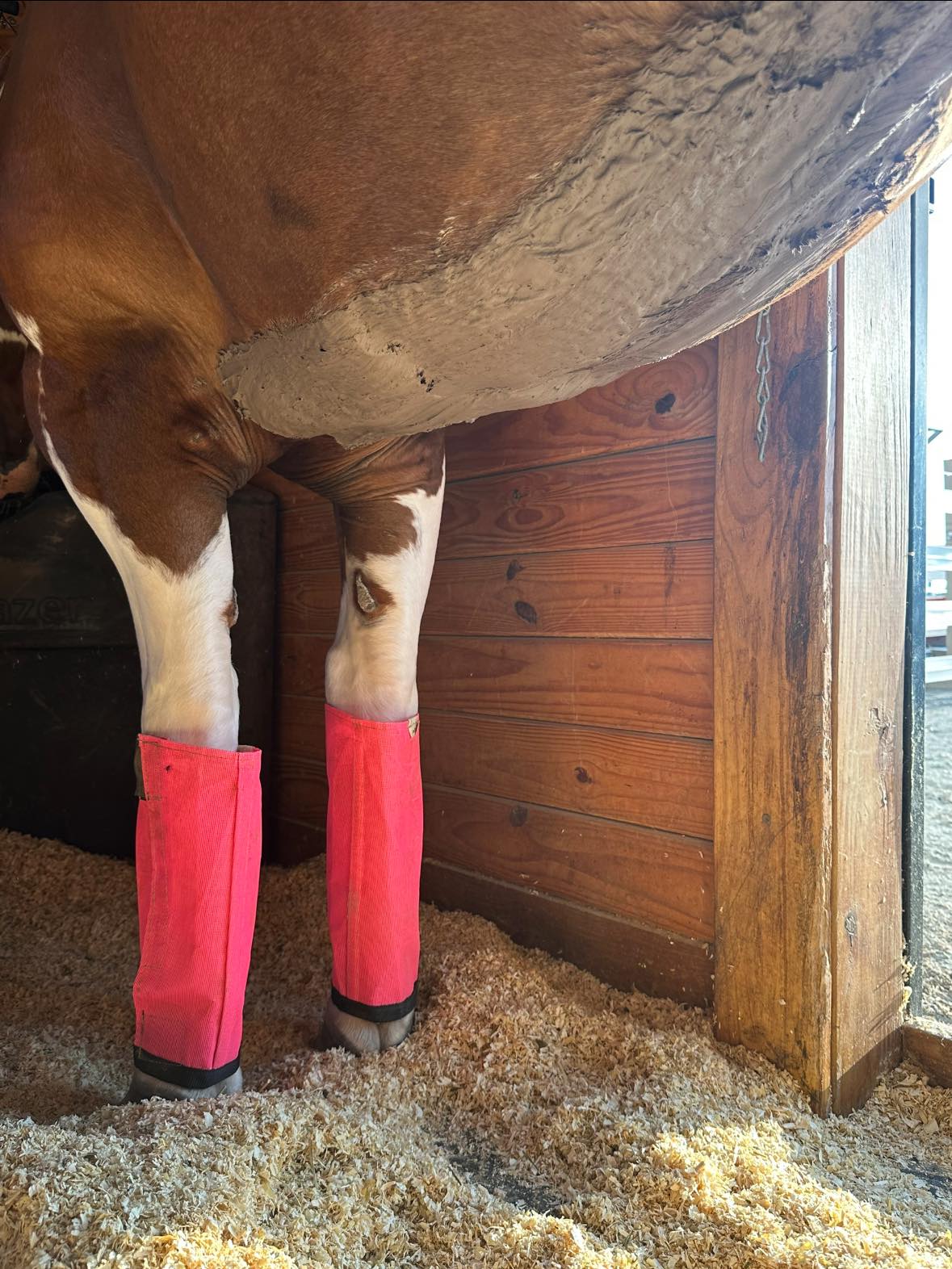 LegUp Fly Repel Poultice & Hoof Pack