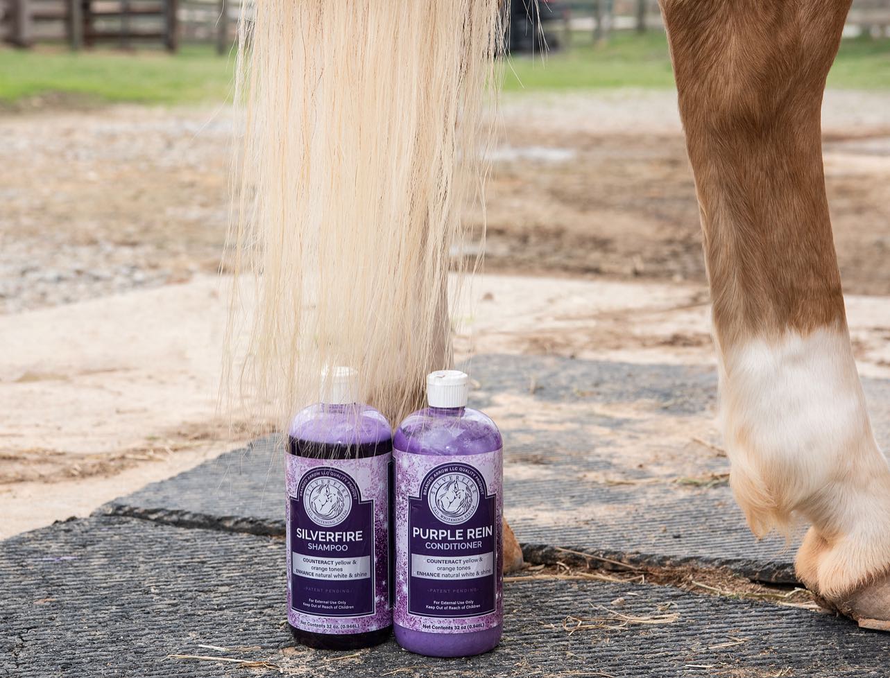 Equine Grooming