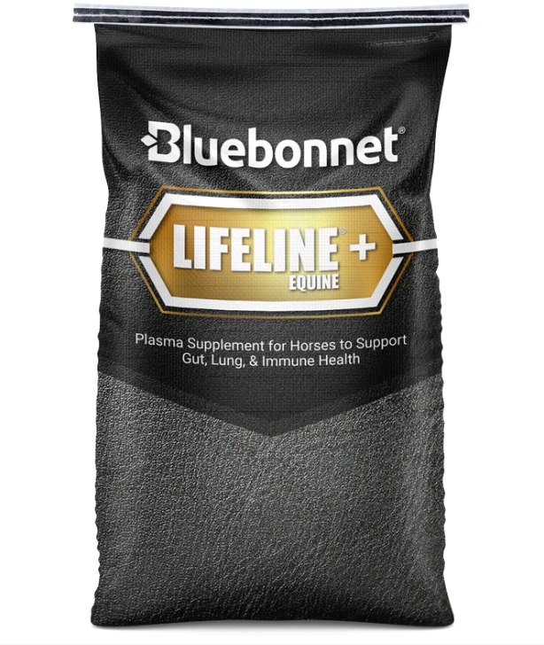 Lifeline+ Equine