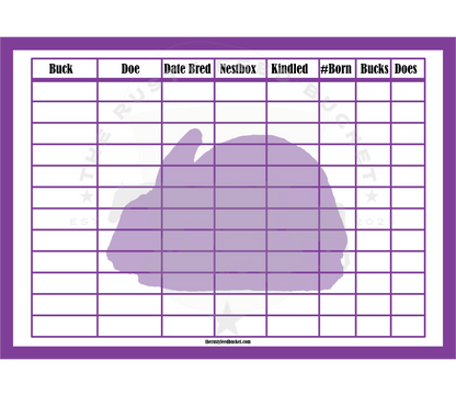 Rabbit Breeding Chart - Mini Rex
