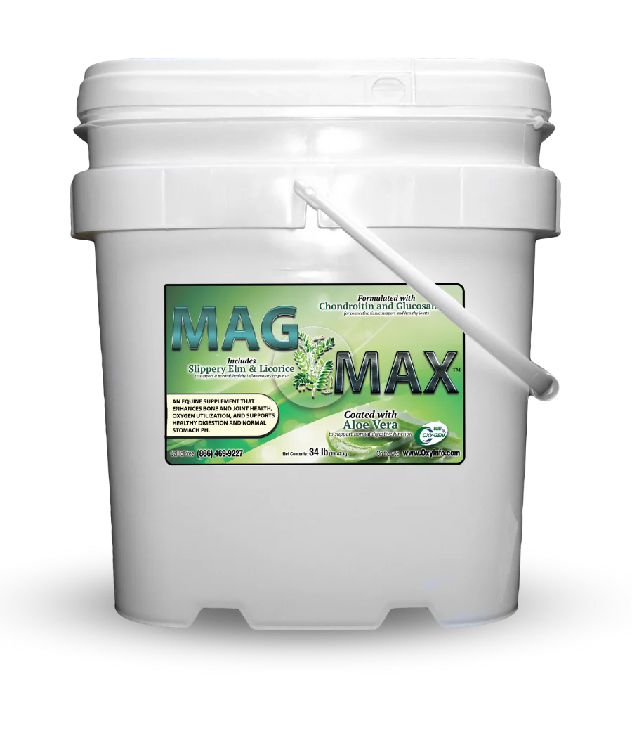 Mag-Max by Oxygen Equine