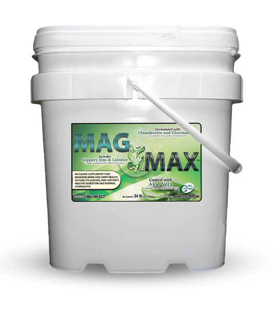 Mag-Max by Oxygen Equine