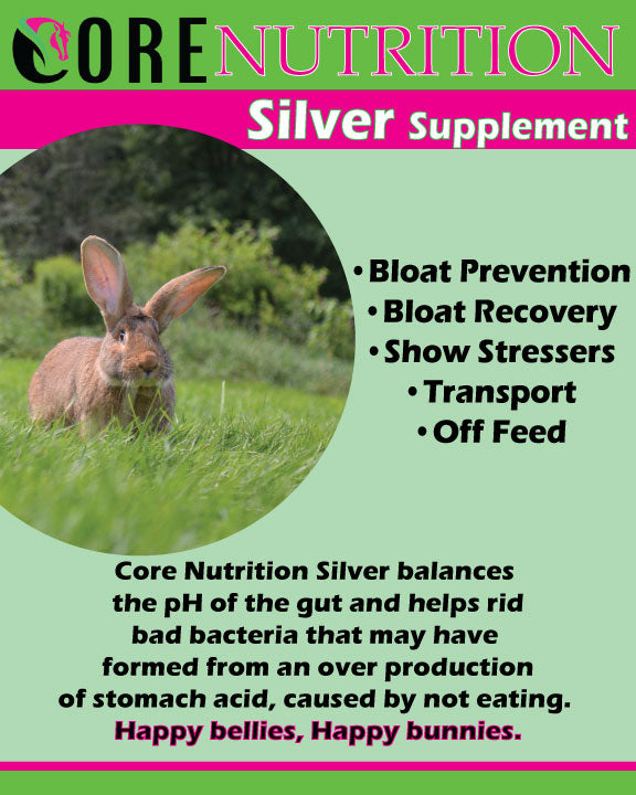 Core Nutrition Silver Gel The Rusty Feed Bucket